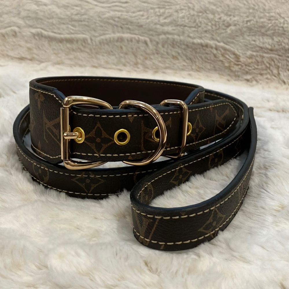 Leash and dog collar - Large